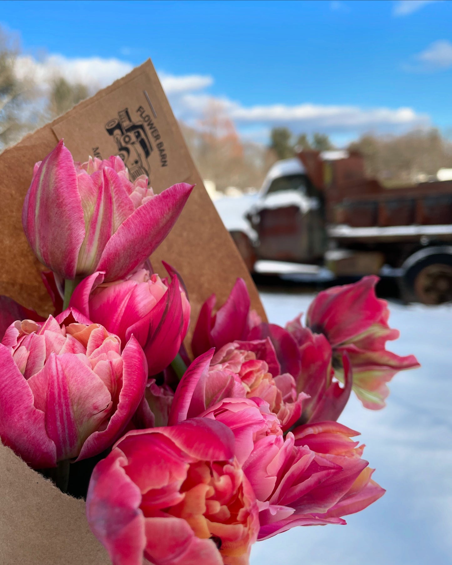 Fresh Cut Flowers