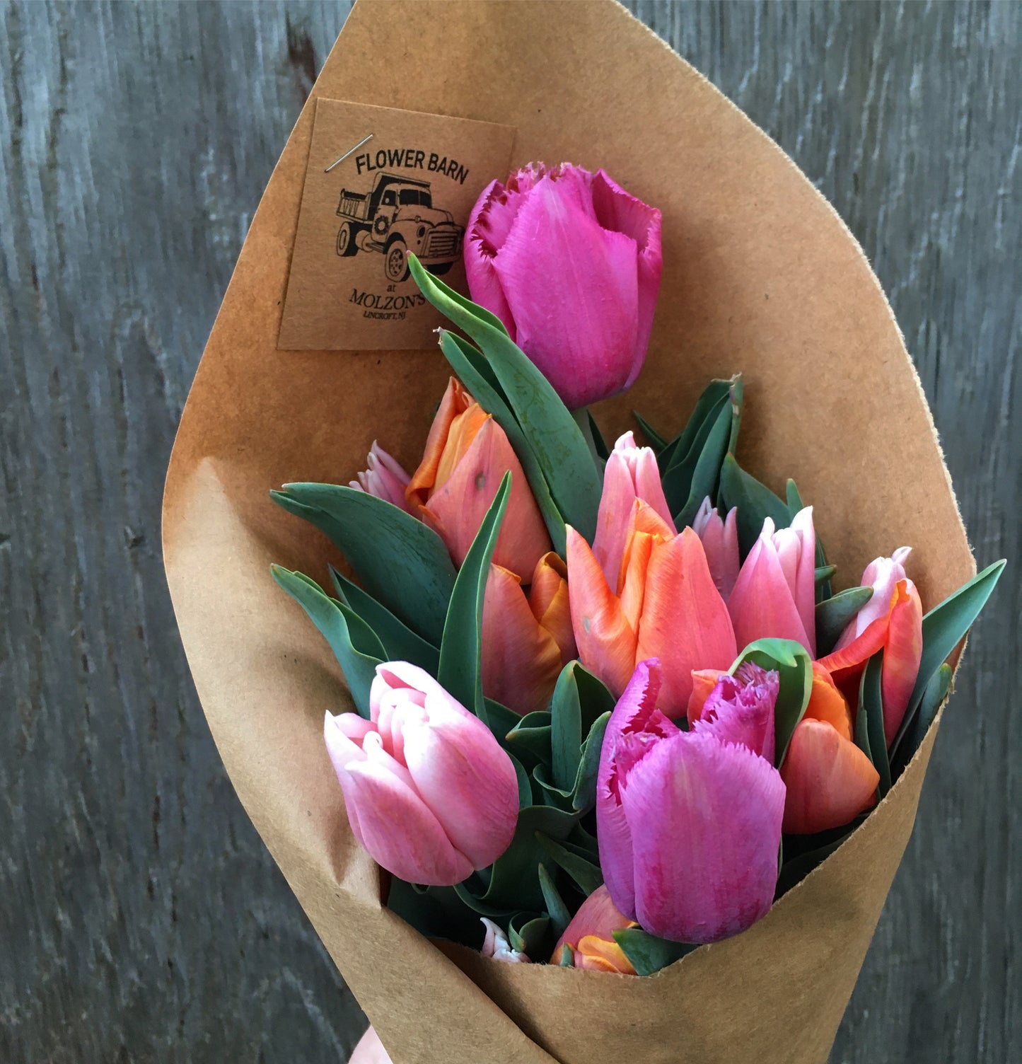 15-Week Three-Season Flower CSA Subscription