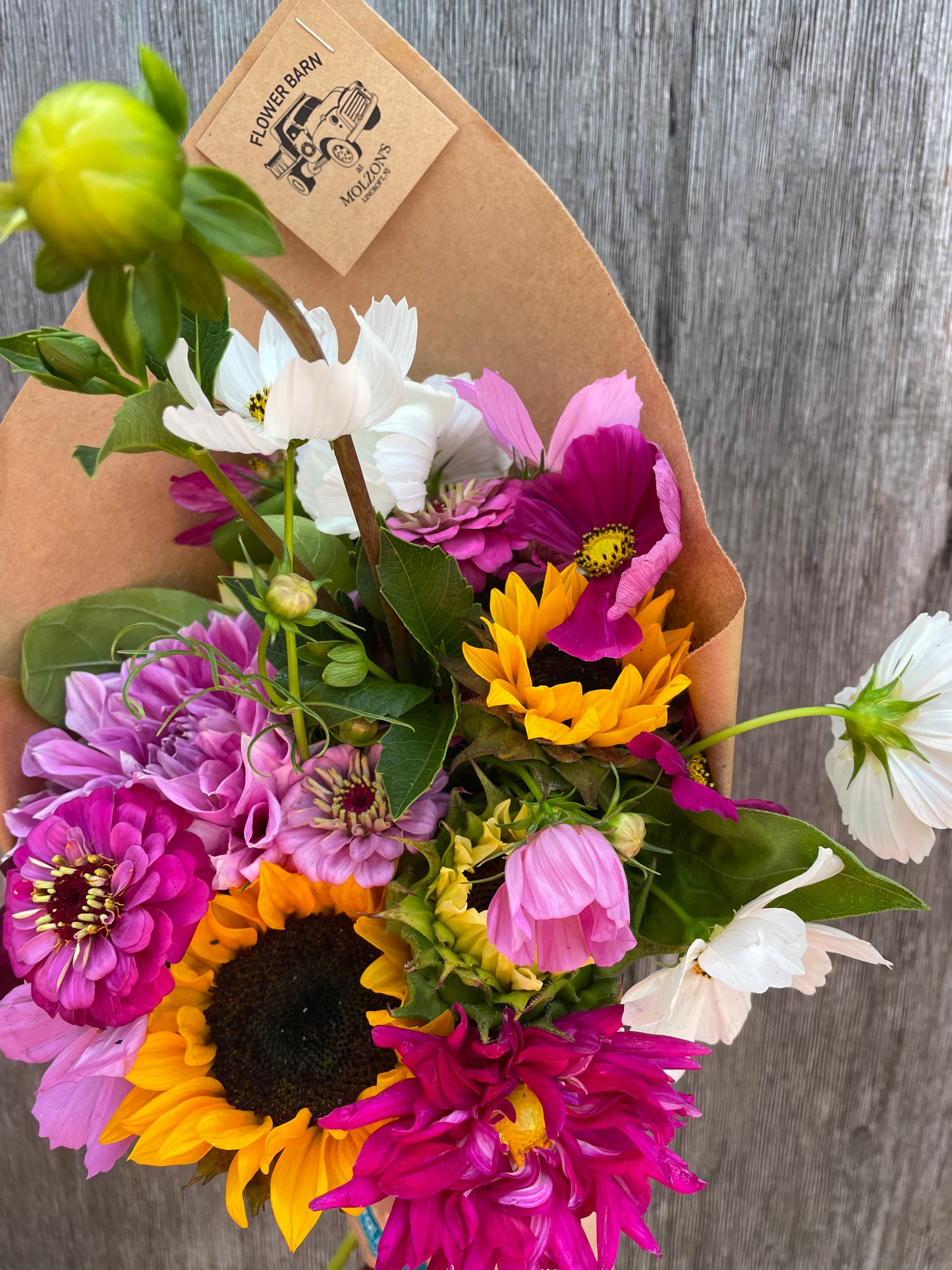 15-Week Three-Season Flower CSA Subscription
