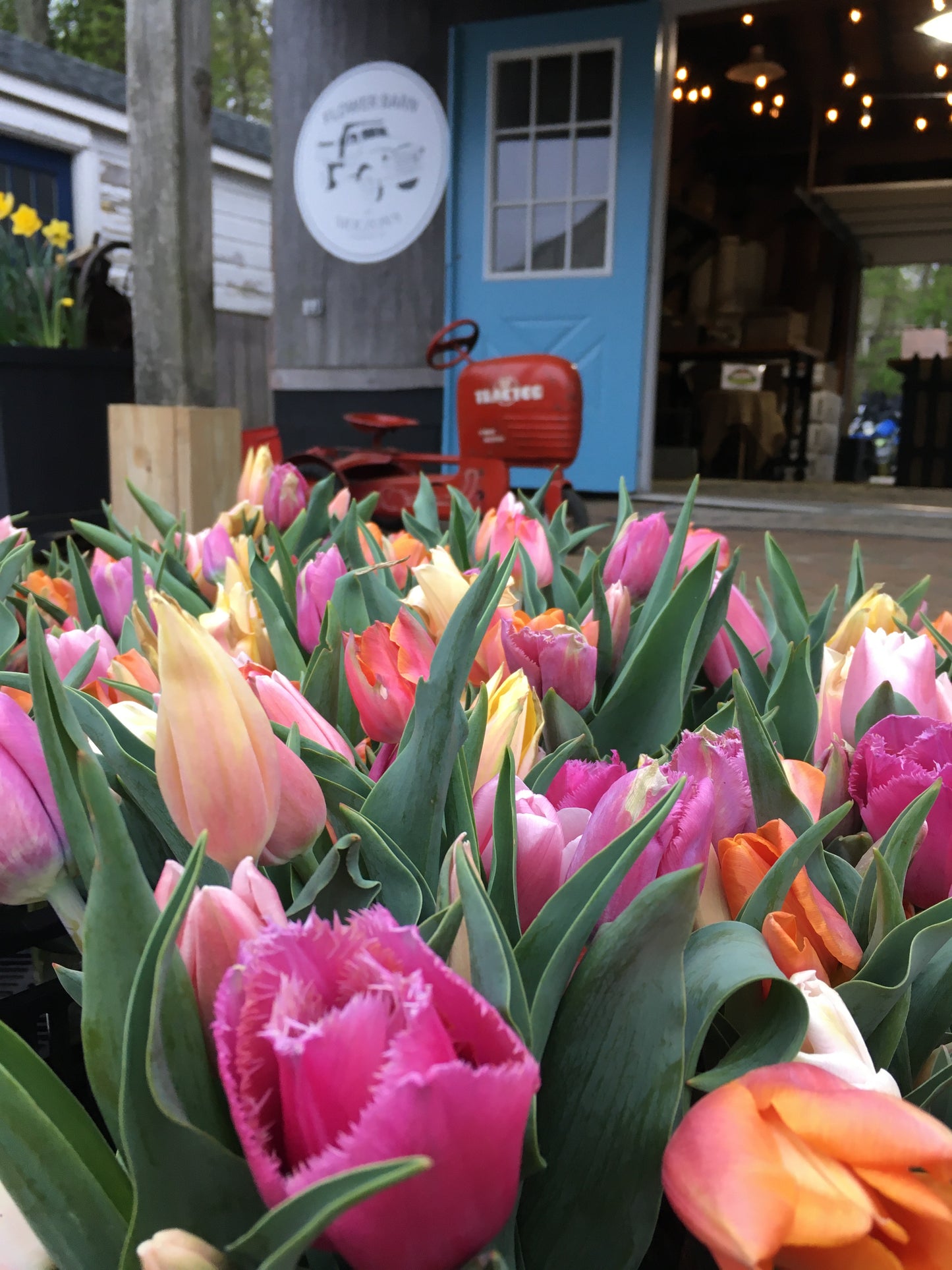 15-Week Three-Season Flower CSA Subscription