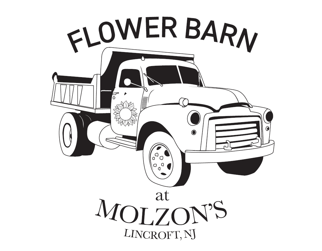 15-Week Three-Season Flower CSA Subscription