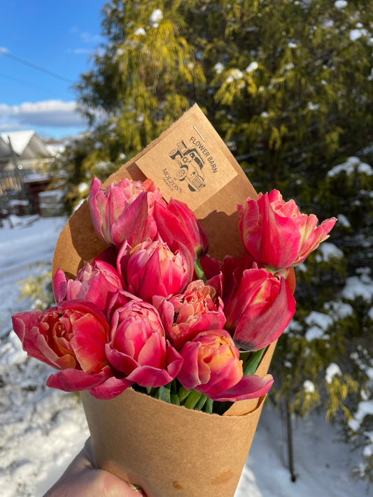 Fresh Cut Flowers