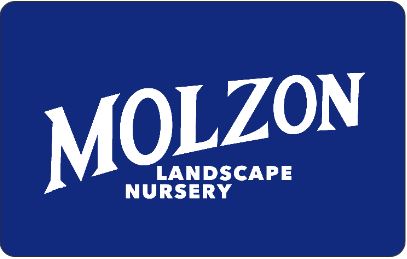 Molzon's Gift Card
