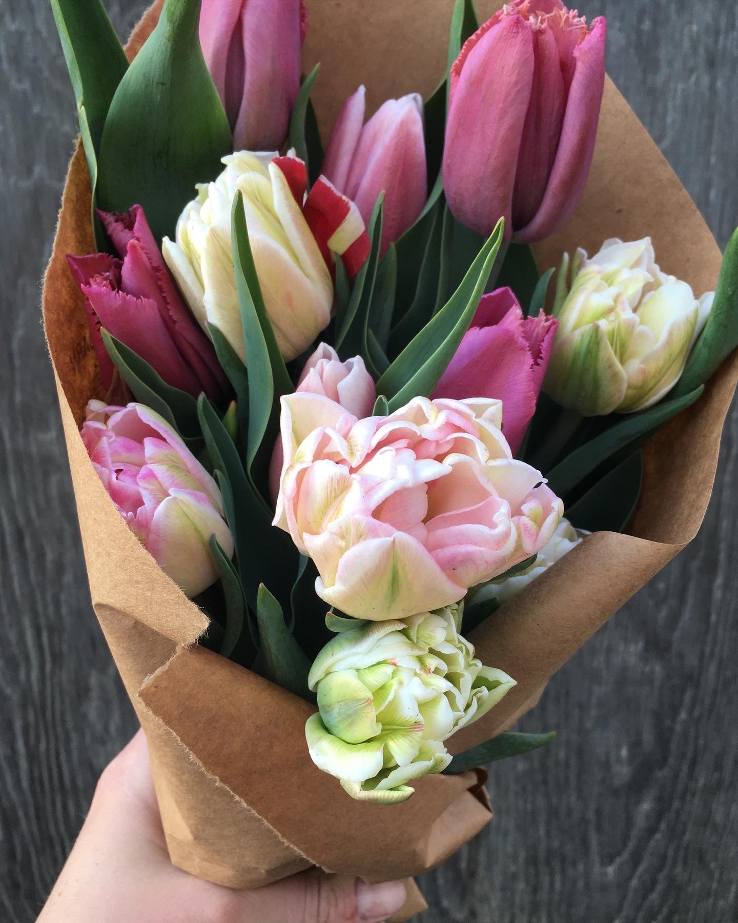 Fresh Cut Flowers