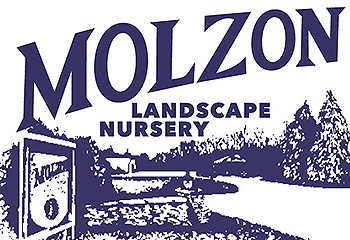 Molzon's Gift Card